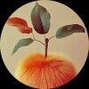 llarchive